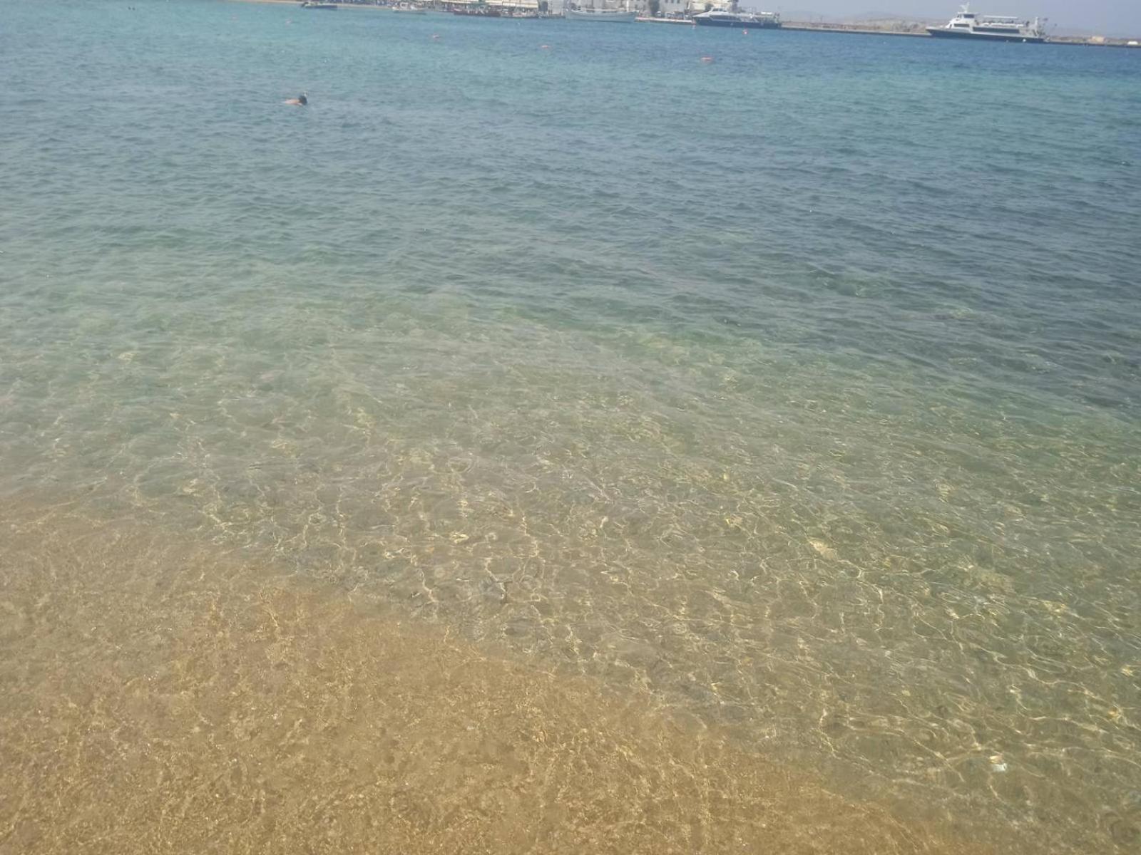 Appartamento Anemones Sea View Mykonos Town Esterno foto